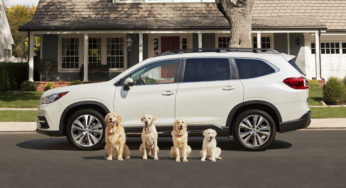 Subaru’s National Make A Dog’s Day