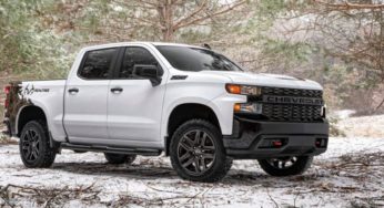 Chevrolet Teams Up With Realtree For Special Edition Silverado