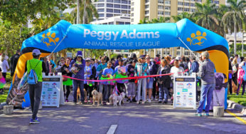 PEGGY ADAMS ANIMAL RESCUE LEAGUE WALK FOR THE ANIMALS AND EDWARD NAPLETON AUTOMOTIVE