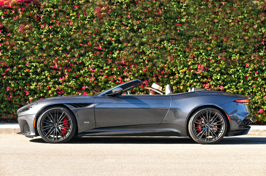 Aston flowers