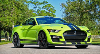 MUSTANG SHELBY GT500: A PONY CAR ON STEROIDS
