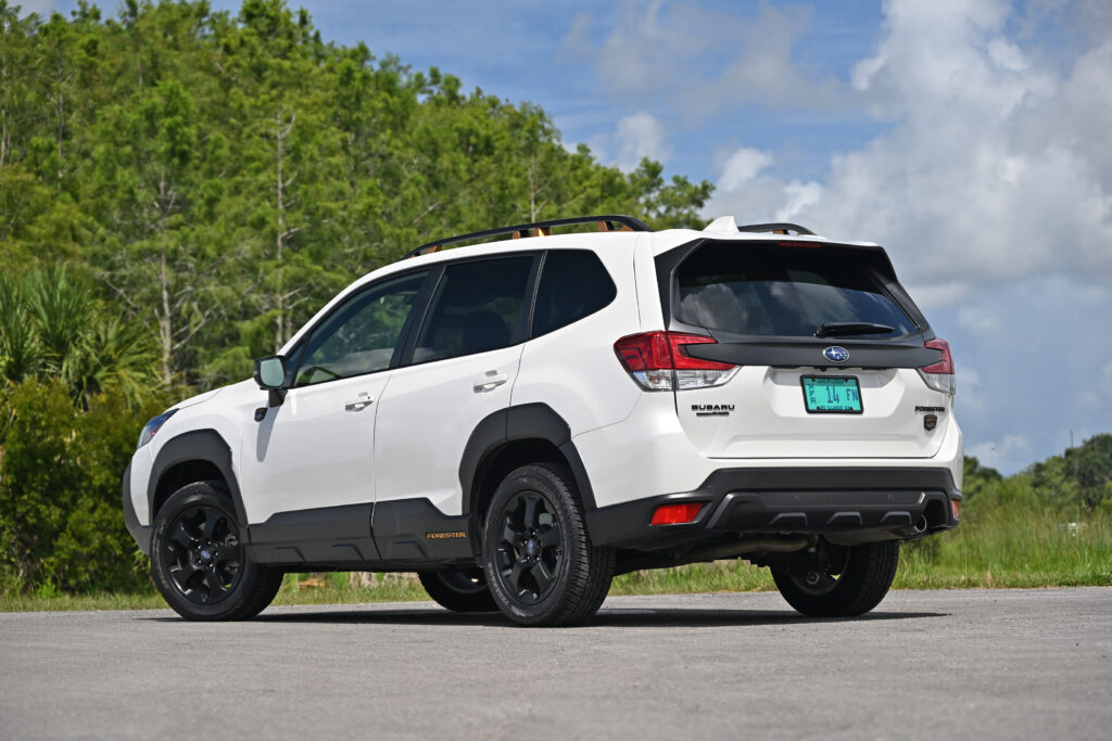 Forester Wilderness Pictures