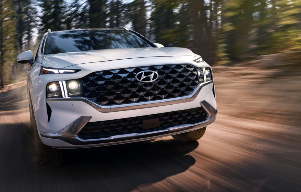 rushing through the woods