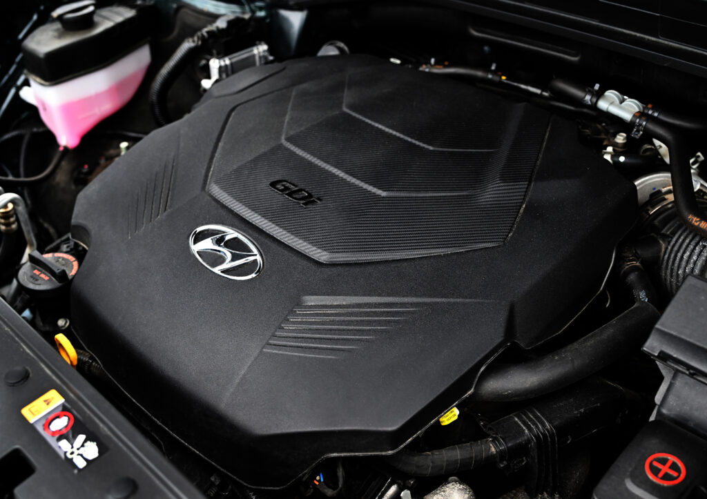 Napleton News Review Palisade