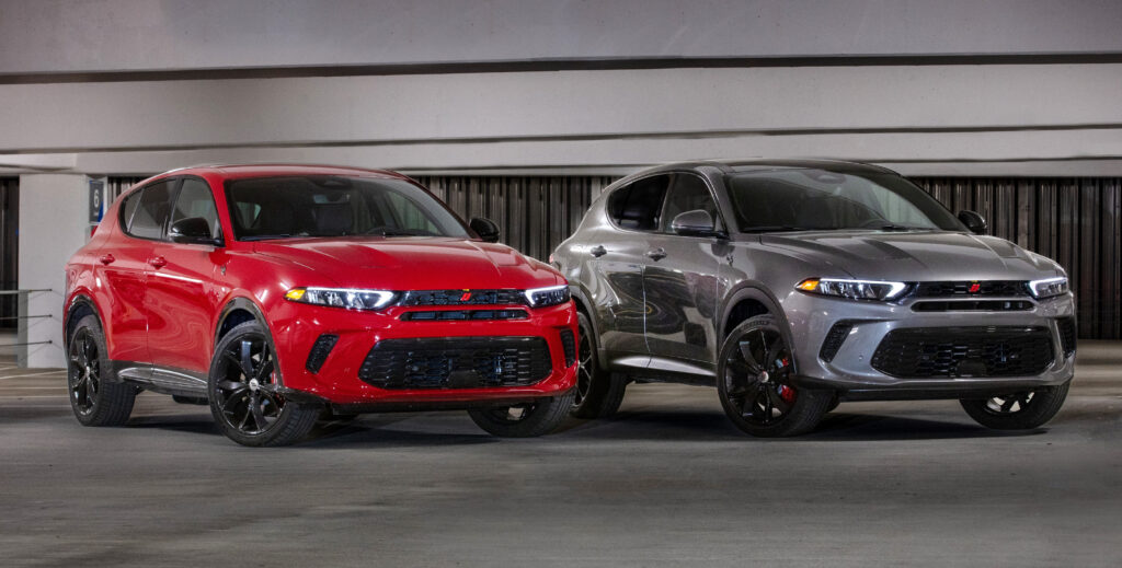 Grey and Red Hornets