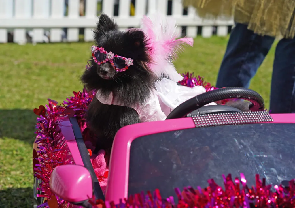 Barbie Pink Maserati