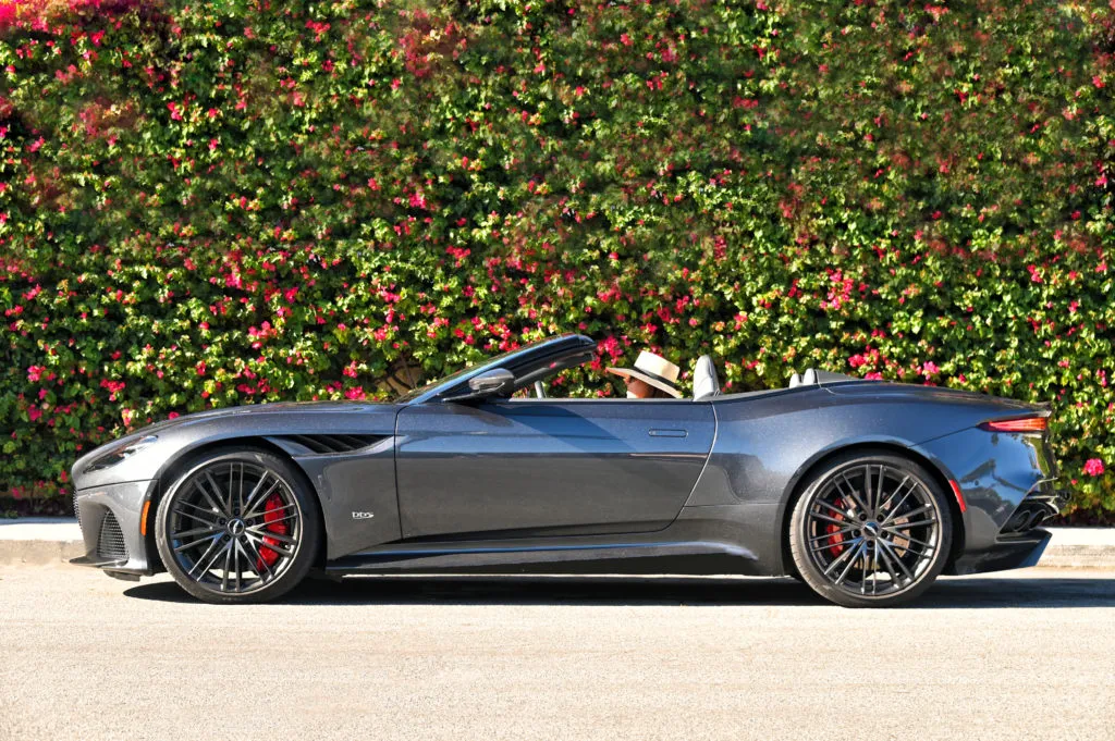 Aston flowers