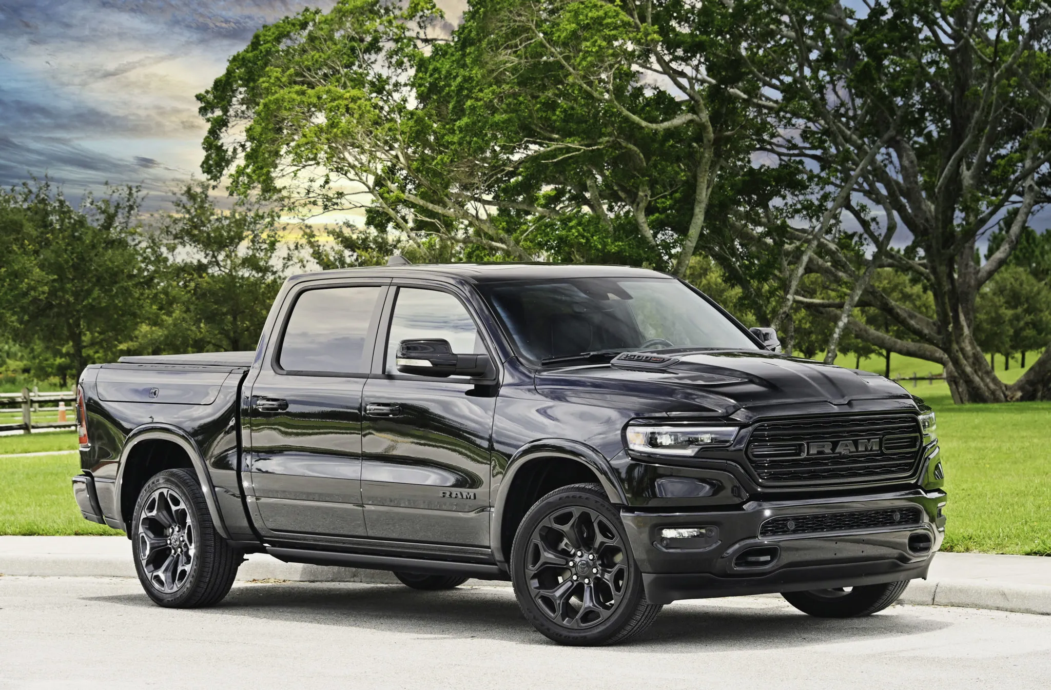 Ram 1500 Limited tree