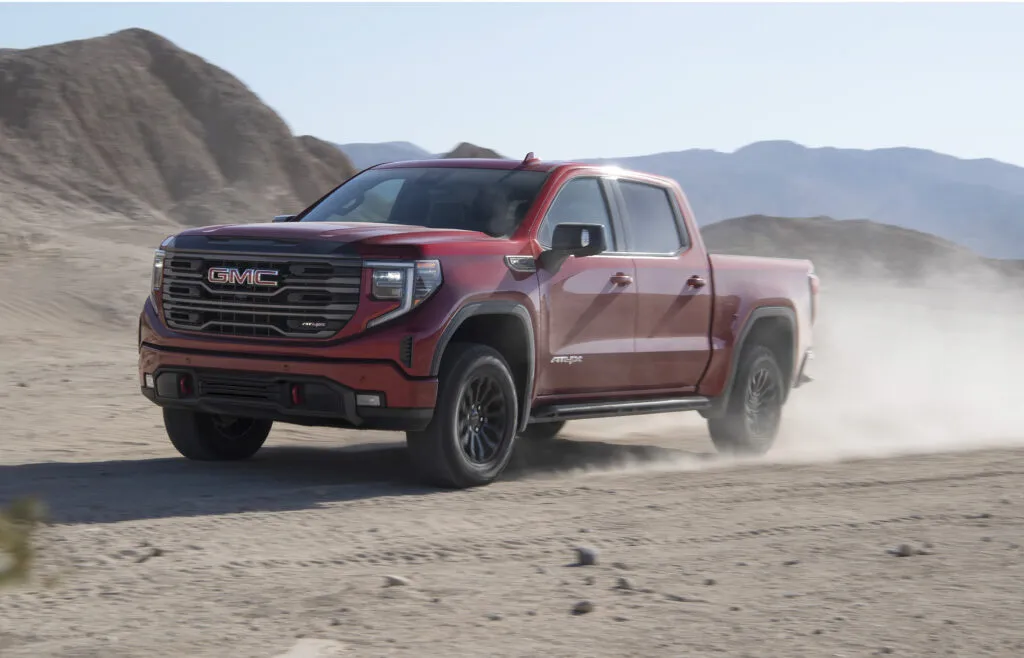 Sierra Running in dirt