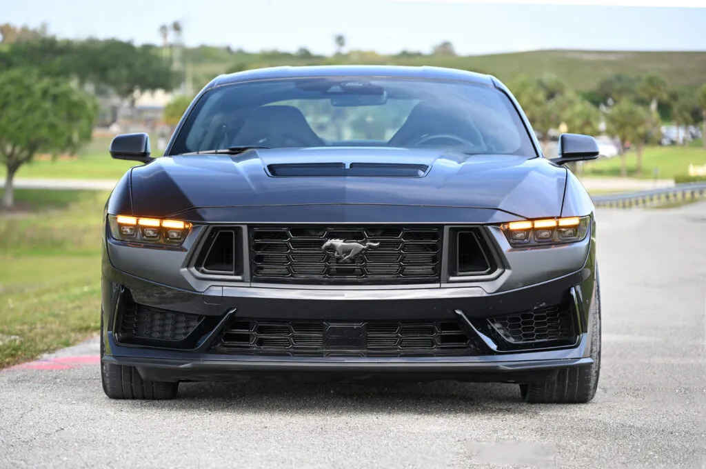 Head On Mustang
