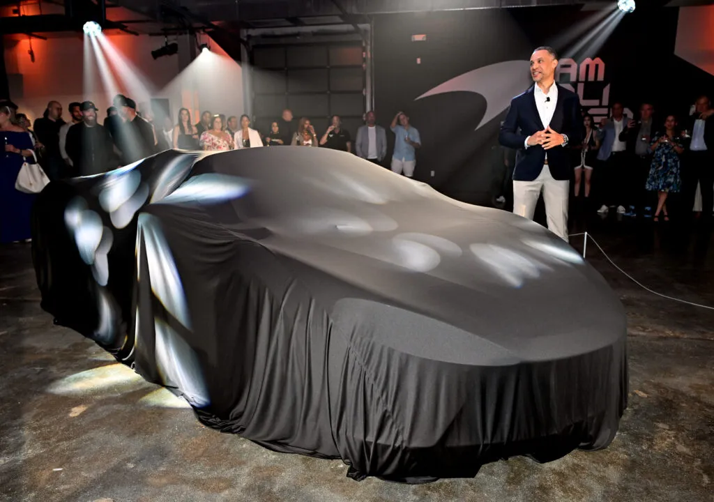 covered artura spider